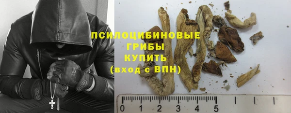 прущая мука Баксан