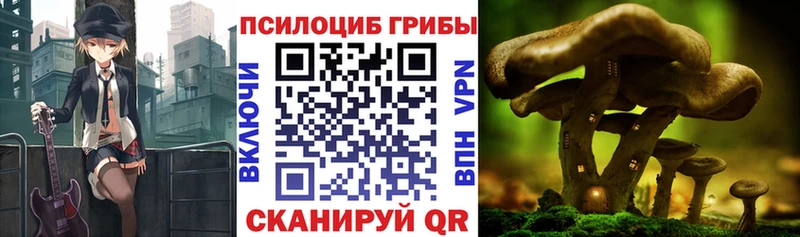 Галлюциногенные грибы Magic Shrooms  даркнет сайт  Свободный 